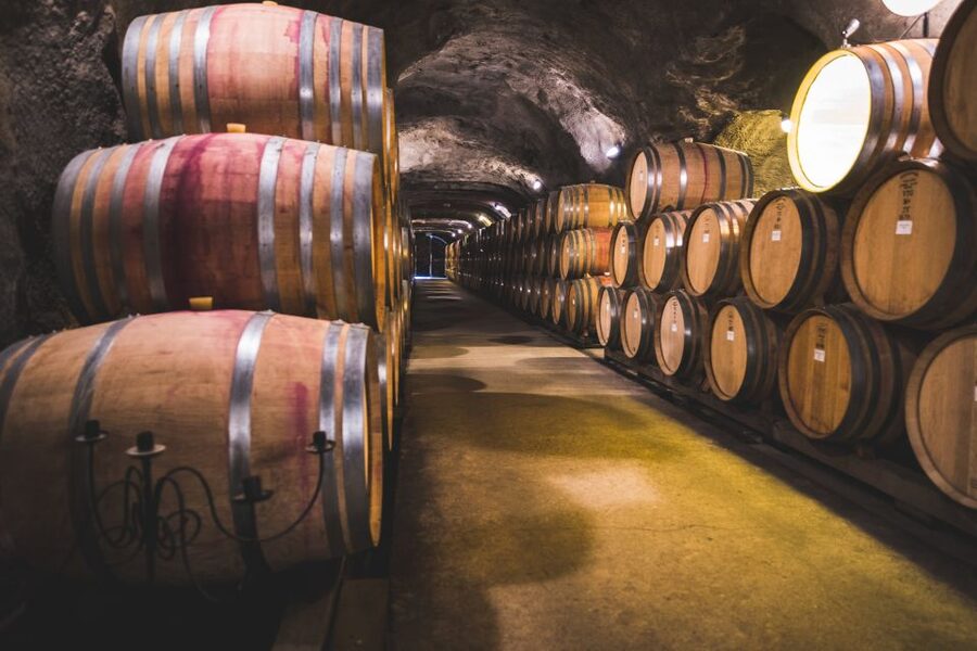 Queenstown: Wine Tasting Tour - Key points to know before booking