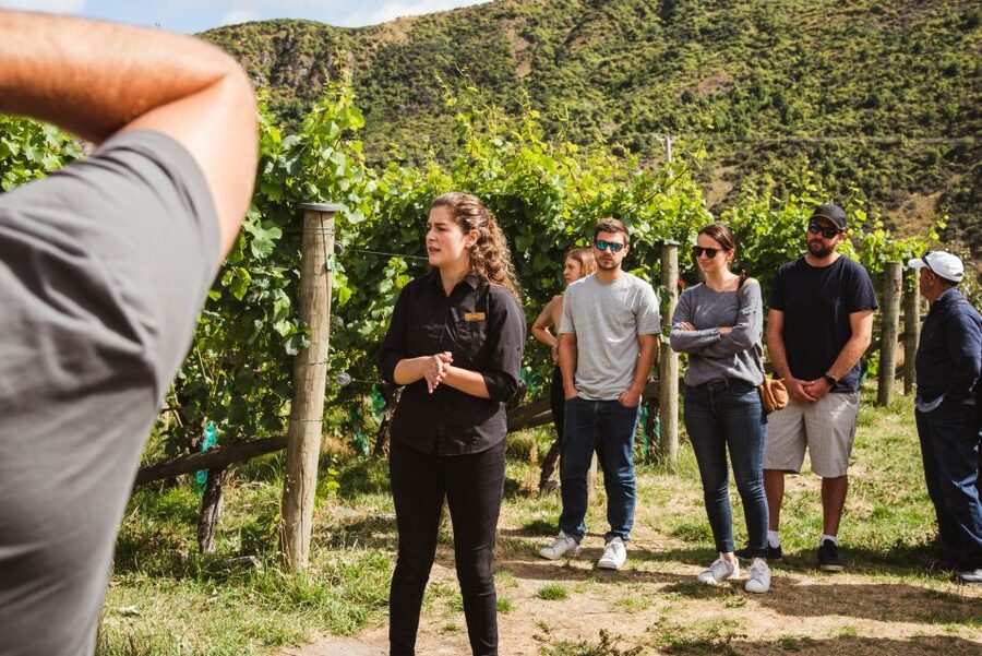 Queenstown: Wine Tasting Tour - Mt Rosa offers a smaller, owner-operated feel