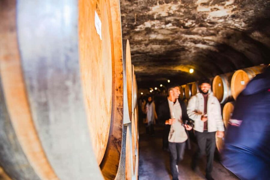 Queenstown: Wine Tasting Tour - Is $134 good value?
