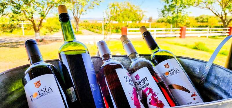 Querétaro: Haciendas, Vineyards, and Magical Towns Day Trip - What the van ride means for your day