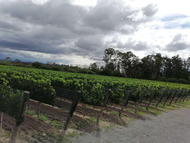 Querétaro: Haciendas, Vineyards, and Magical Towns Day Trip - Is $131 a fair price?