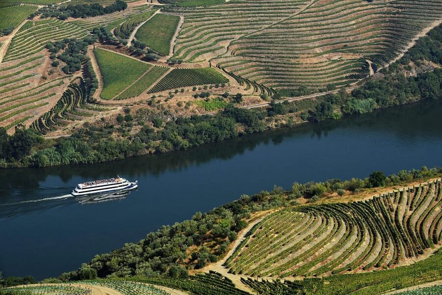 Régua: Wine tasting at a Quinta, traditional lunch, cruise, and train ride - The van ride back to Régua