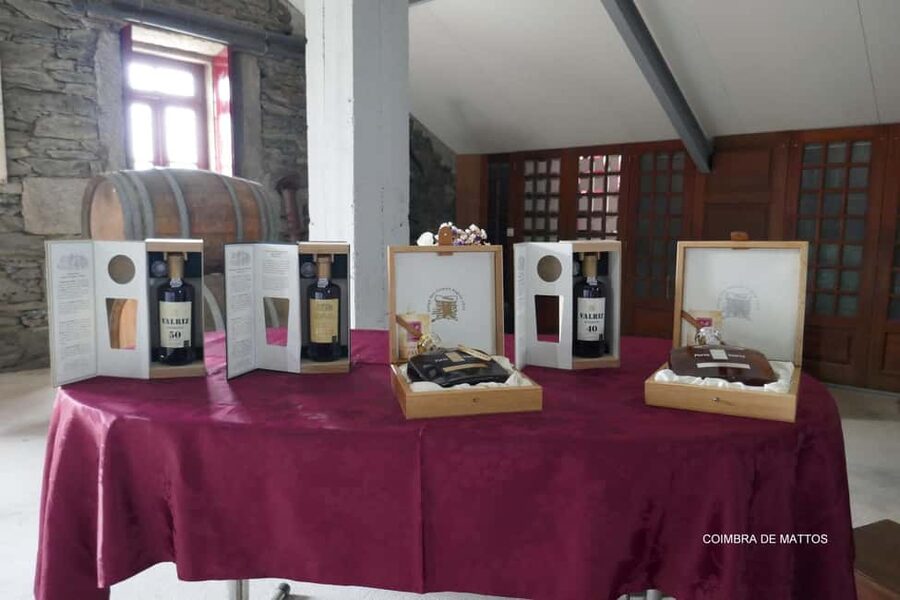 Régua: Wine tasting at a Quinta, traditional lunch, cruise, and train ride - Pinhão, a short pause, and the train home