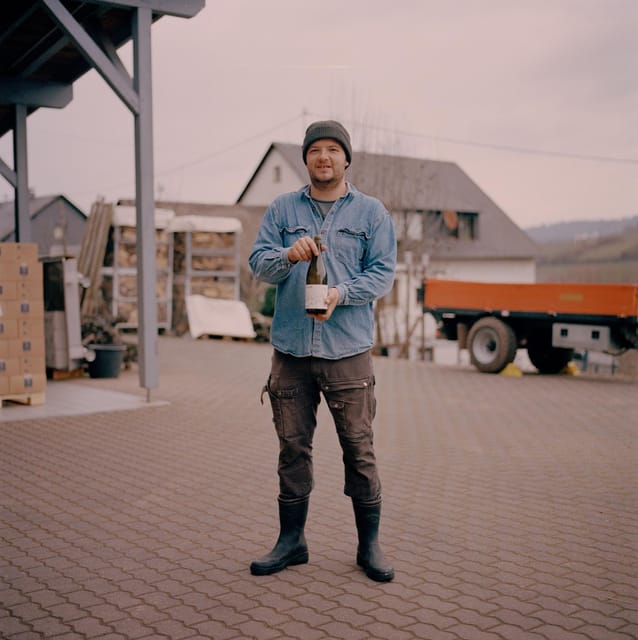 Reil, Mosel: Guided organic wine tasting and cellar tour - Walking among the organic vines