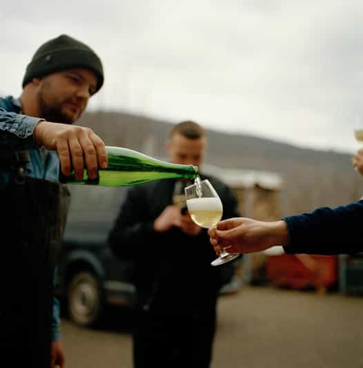 Reil, Mosel: Guided organic wine tasting and cellar tour - Tasting four to five organic wines