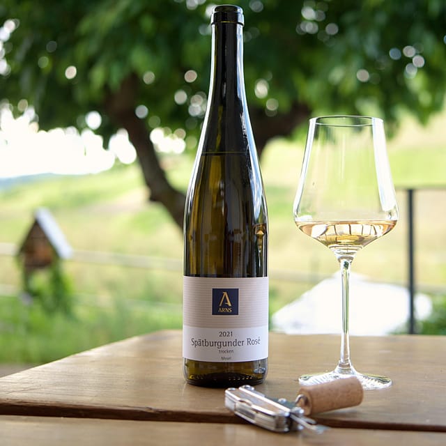 Reil, Mosel: Guided organic wine tasting and cellar tour - A friendly, bilingual family visit