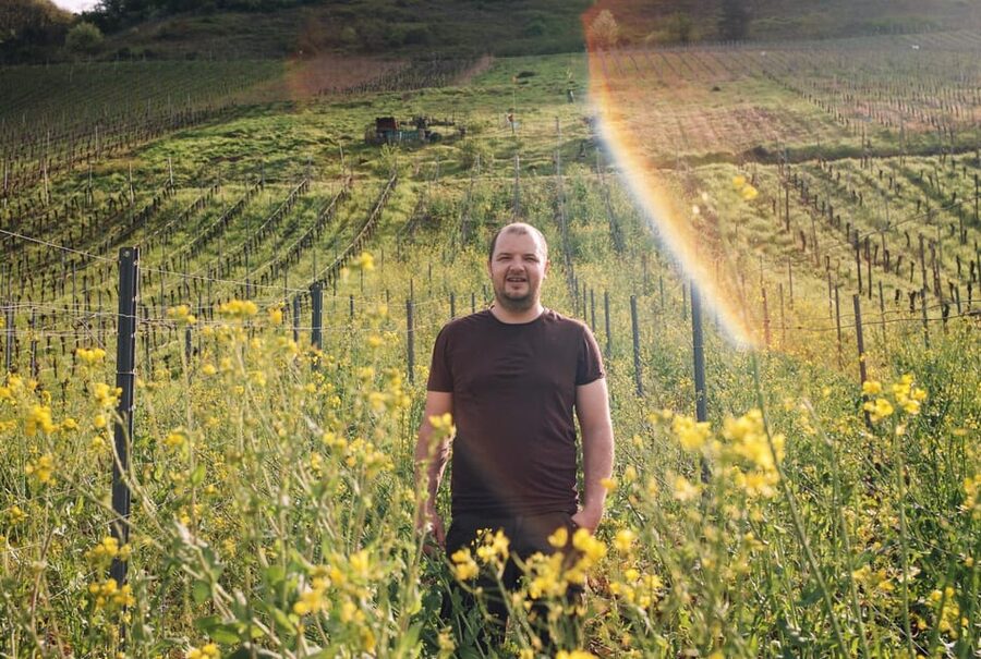 Reil, Mosel: Guided organic wine tasting and cellar tour - Is Weingut Arns worth booking?