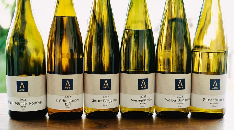 Reil, Mosel: Guided organic wine tasting and cellar tour - Entering the modern cellar at Weingut Arns