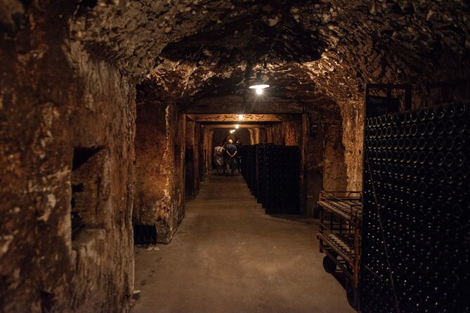 Reims afternoon tour Champagne and family growers - Two family growers instead of one famous Champagne brand
