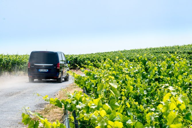 Reims afternoon tour Champagne and family growers - Hautvillers and the church linked to Dom Pérignon