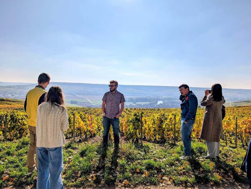 Reims: Moët & Chandon and Family-Run Winery Day Tour & Lunch - Meeting in Reims or Épernay