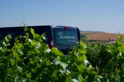 Moët & Chandon and Family-Run Winery Day Tour & Lunch