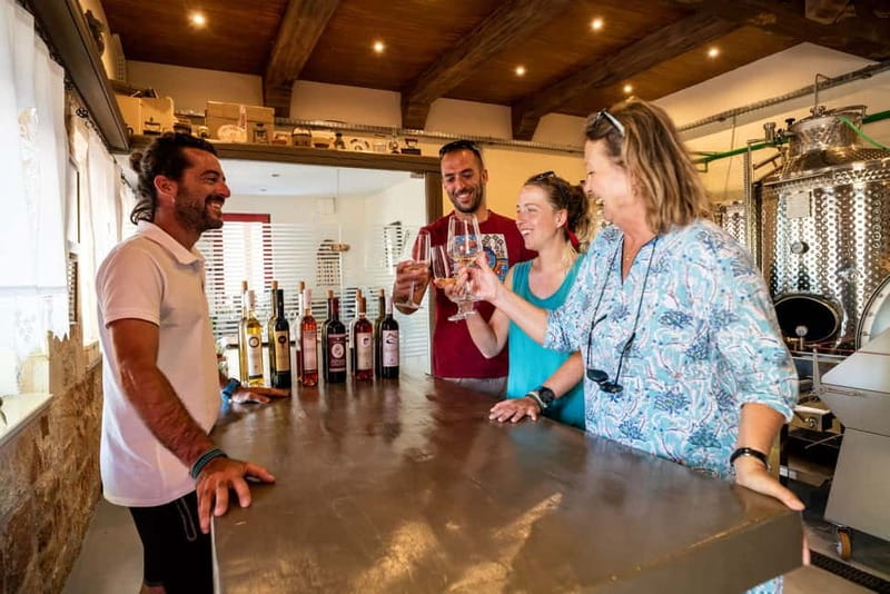 Rhodes: Cooking Lesson and Wine Tasting with Lunch - Who will enjoy this Rhodes food tour most