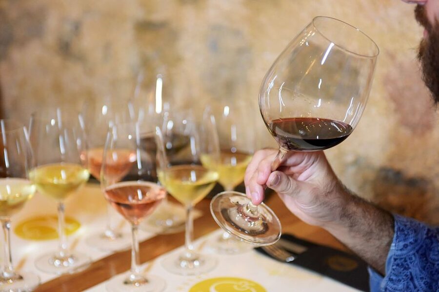 Rhodes: Private Wine Tasting Experience for Beginners - How the 50-minute schedule works