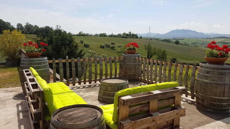 Rimini: San Valentino DOC Wine Tastings - A Small Winery Visit Near Rimini