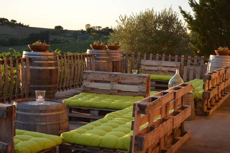 Rimini: San Valentino DOC Wine Tastings - From Vineyard to Cellar