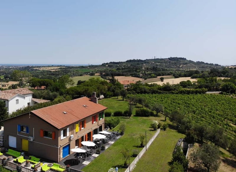 Rimini: San Valentino DOC Wine Tastings - Four Grapes That Tell Different Stories