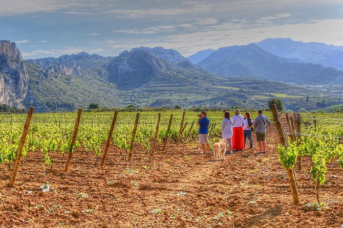 Rioja Like A Native Wine Tour - Key points at a glance