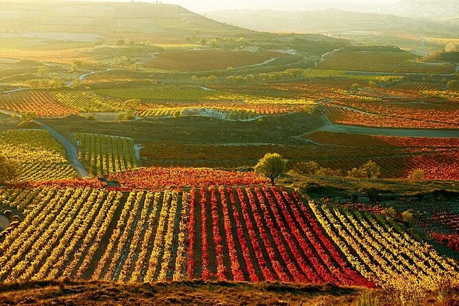 Rioja wine region with visit to winery & Vitoria-Gasteiz - The road south from Bilbao