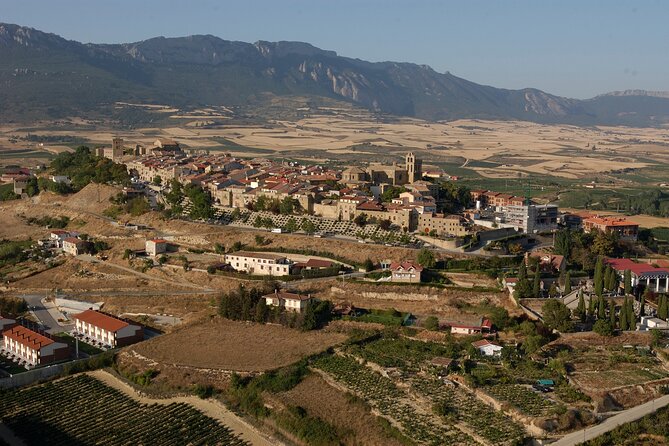 Rioja wine region with visit to winery & Vitoria-Gasteiz - What the guide adds to the day