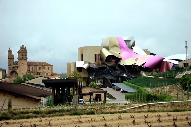 Rioja wine region with visit to winery & Vitoria-Gasteiz - Who will enjoy this tour most?