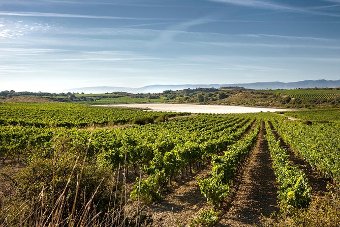 Rioja Wine Tour: 2 Wineries From Bilbao - From Bilbao to Rioja, the drive is part of the tour