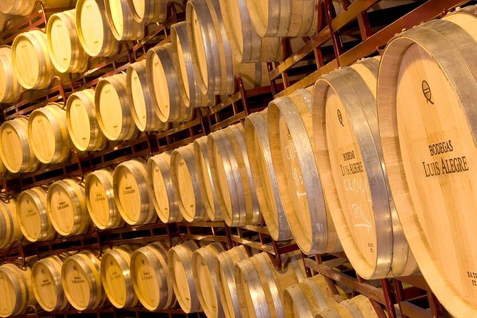 Rioja Wine Tour: 2 Wineries From Bilbao - Laguardia supplies the human scale