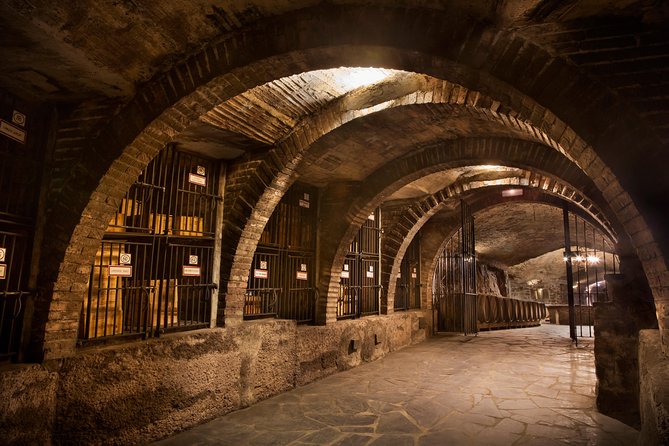 Rioja Wine Tour: 2 Wineries From Bilbao - Why the guide matters so much