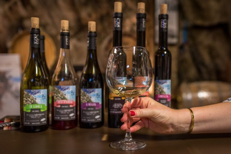 Riomaggiore: Vineyard & Wine Cellar Tour with Wine Tasting - Key points to know before you book