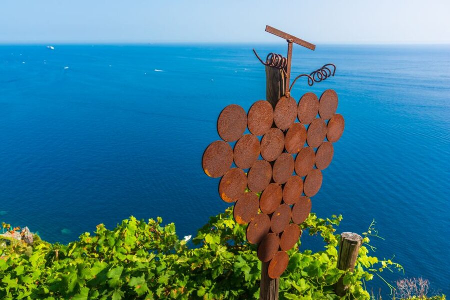 Riomaggiore: Vineyard & Wine Cellar Tour with Wine Tasting - Why this vineyard matters in Cinque Terre