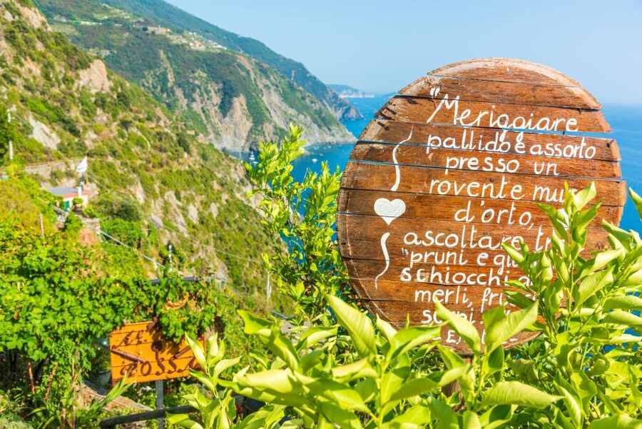 Riomaggiore: Vineyard & Wine Cellar Tour with Wine Tasting - Walking through the steep seaside vineyard