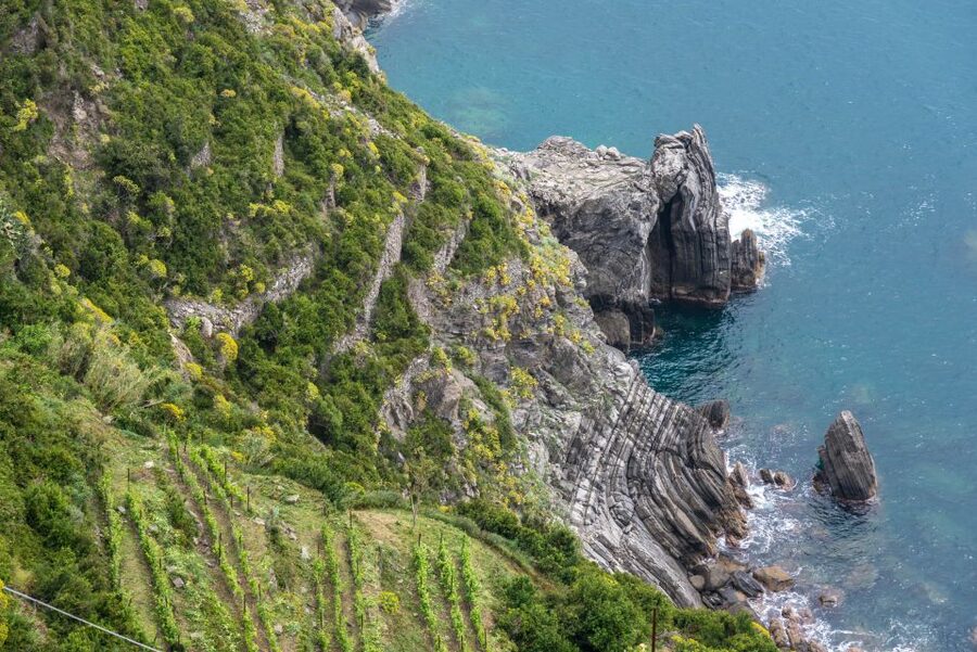 Riomaggiore: Vineyard & Wine Cellar Tour with Wine Tasting - Returning to the Riomaggiore cellar