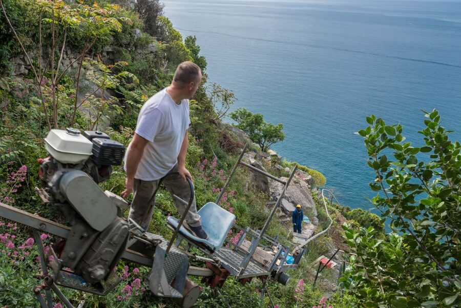 Riomaggiore: Vineyard & Wine Cellar Tour with Wine Tasting - Who should take this tour?