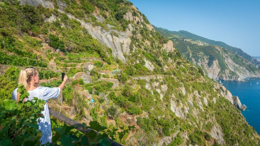 Riomaggiore: Vineyard & Wine Cellar Tour with Wine Tasting - Starting at Riomaggiore station