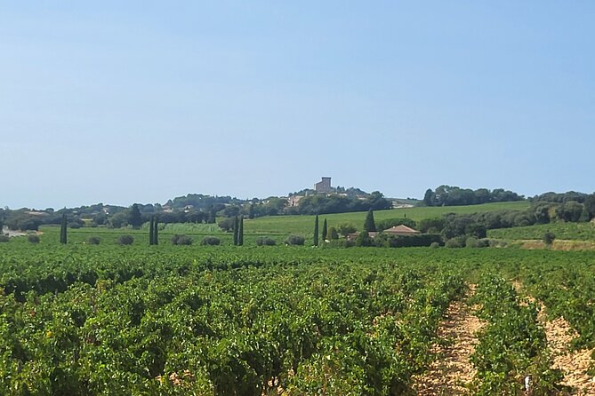 Roman Heritage & Wine Legacy - Gordana makes the small group matter