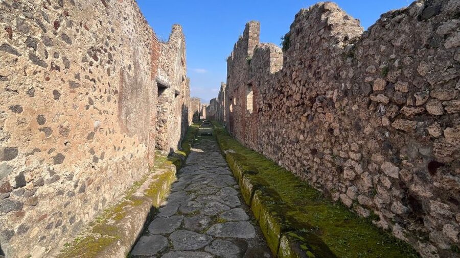 Rome: Pompeii Tour with Wine and Lunch by High Speed Train - Should you book this Rome to Pompeii tour?