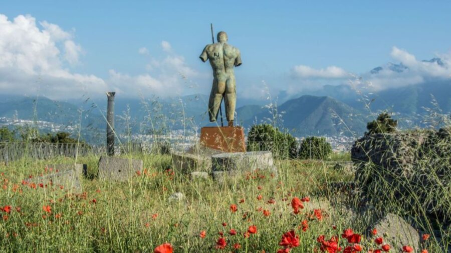 Rome: Pompeii Tour with Wine and Lunch by High Speed Train - Why the high-speed train changes this Rome day trip