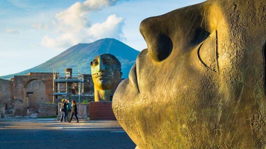 Rome: Pompeii Tour with Wine and Lunch by High Speed Train - From Pompeii’s stones to a volcanic vineyard