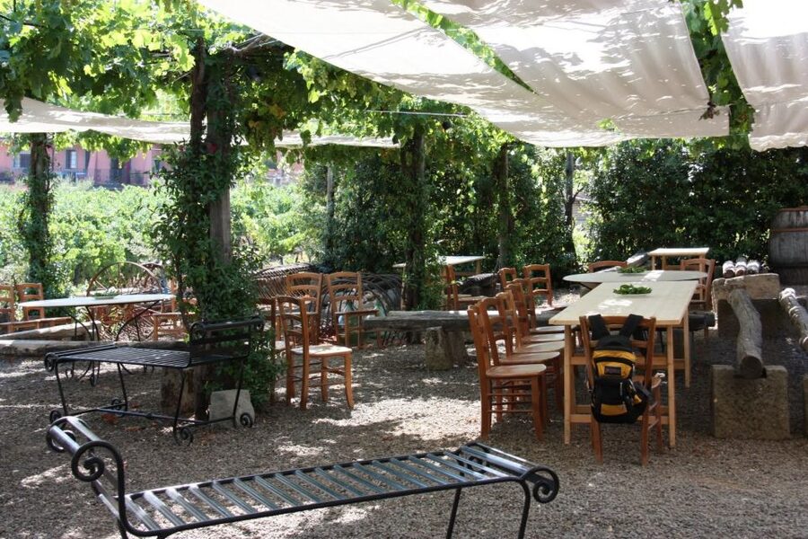 Rome: Private Castelli Romani Wine Tasting Tour - Who should book this wine outing?