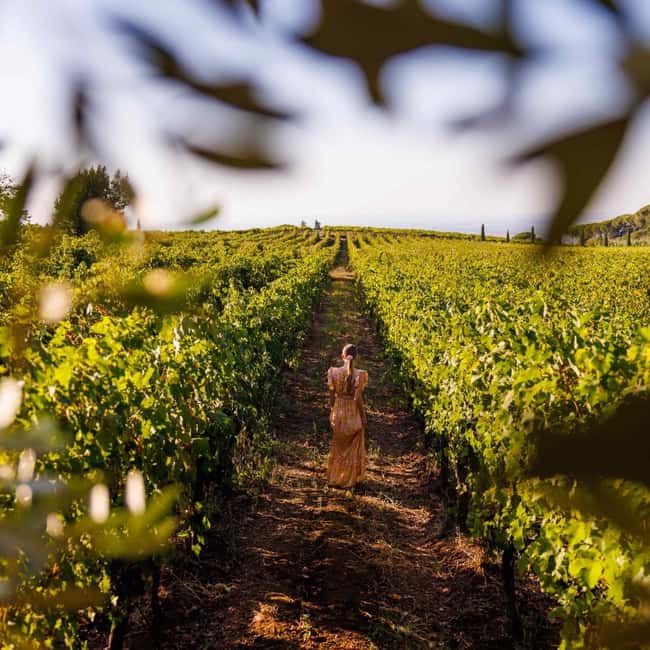 Rome: Private Castelli Romani Wine Tasting Tour - Three wines that make the tasting worthwhile