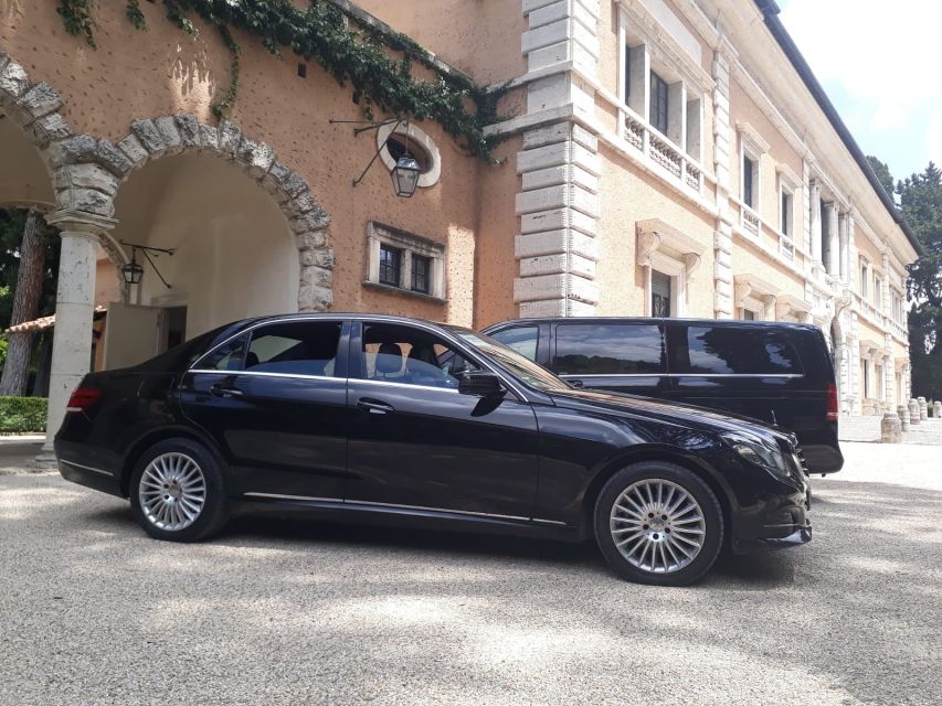 Rome: Private Countryside Wine Tasting Tour - The people who shape the visit