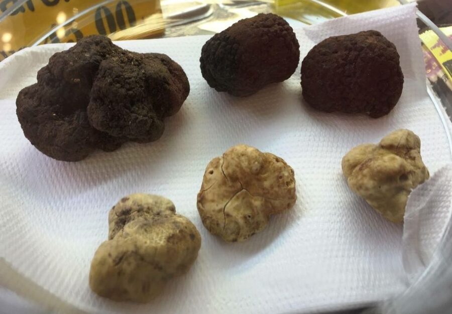 Rome: Trastevere Guided Food and Wine Tour with 20+ Tastings - Why this Trastevere food tour works