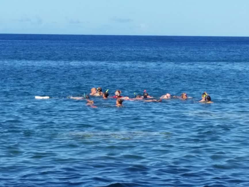Roseau: Titou Gorge, Hot Spring, Falls & Champagne Reef Tour - Why this six-hour route works so well in Dominica