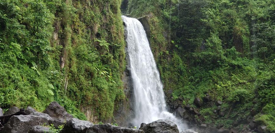 Roseau: Titou Gorge, Hot Spring, Falls & Champagne Reef Tour - The Roseau stop adds local flavor