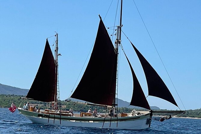 Sailing day trip on Tall Ship Andrea Jensen with Lunch and Wine - The sheltered bay swimming stop