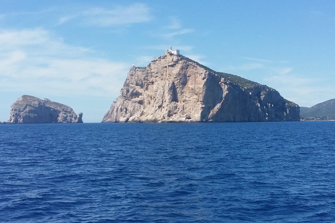 Sailing day trip on Tall Ship Andrea Jensen with Lunch and Wine - Along the Coral Riviera toward Capo Caccia