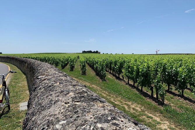 Saint-Emilion Afternoon Wine Tour - 2 Wineries & delicacies - The ride from Bordeaux to Saint-Émilion