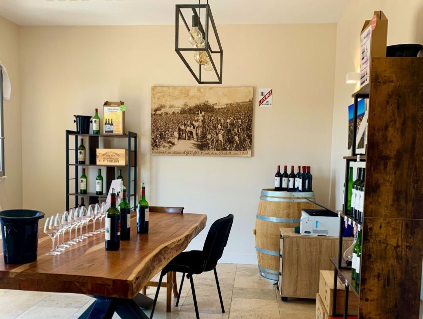 Saint-Émilion: Bordeaux Vineyard Tour and Wine Tasting - What you see in the vineyard