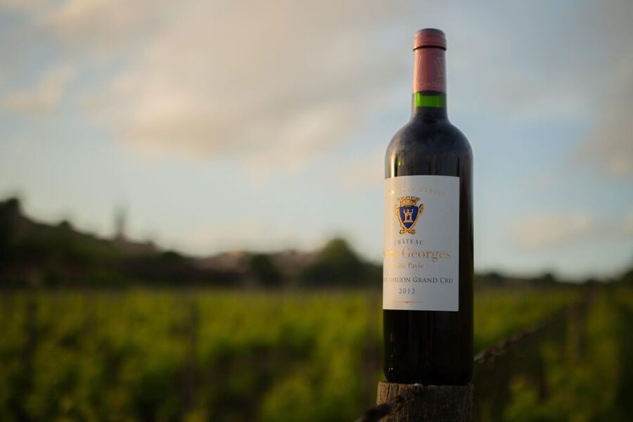 Saint-Émilion: Bordeaux Vineyard Tour and Wine Tasting - Inside the cellar: from grape to barrel