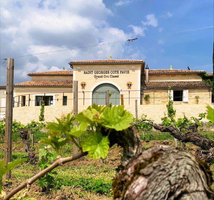 Saint-Émilion: Bordeaux Vineyard Tour and Wine Tasting - The guide makes the difference